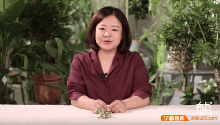 崔金香-经典插花课：教你用花点缀生活