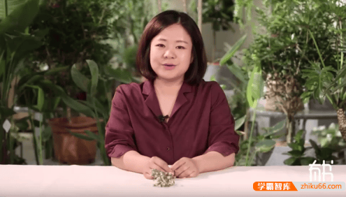 崔金香-经典插花课：教你用花点缀生活