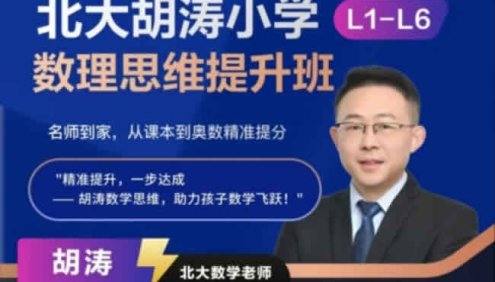 北大胡涛老师小学数理思维提升班L6视频+PDF(六年级下)