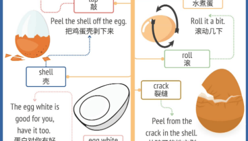 见物能聊《趣味英语100说》100个生活主题,看见什么都能聊,提高亲子口语对话