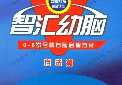 幼儿早教课程《智汇幼脑》理论篇+方法篇+早教音乐215首