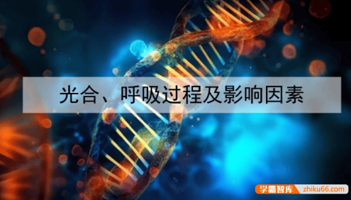 【金晶生物】2025届高三生物 金晶高考生物二轮复习技巧提升课