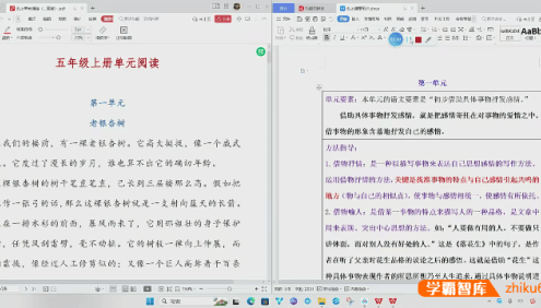 陈怡小学五年级语文阅读理解上下册同步课程