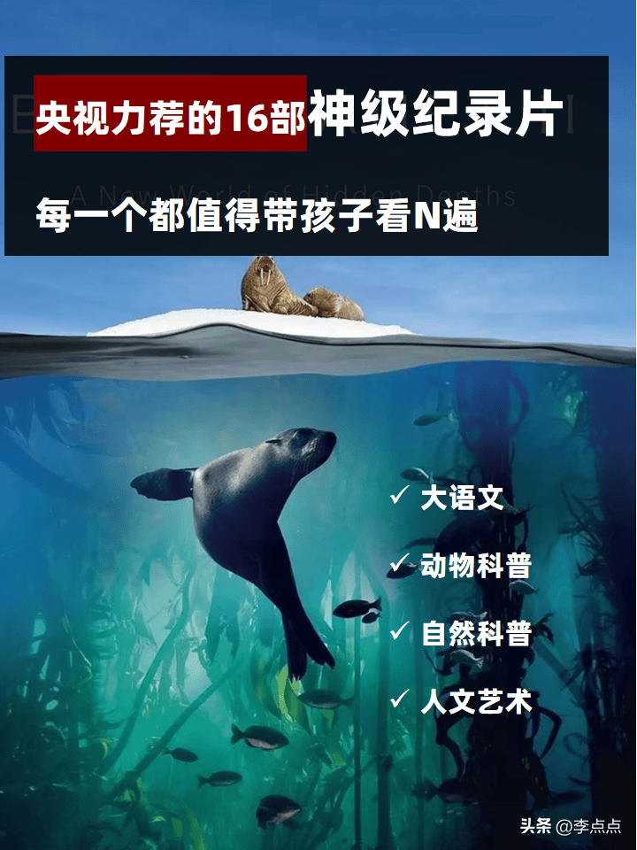 央视力荐的16个纪录片，每一部都值得带娃看N遍