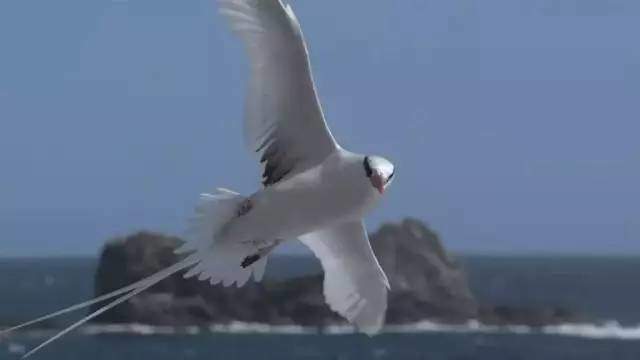 高中生必看生物纪录片_适合高中生物课看的纪录片_适合高中学生看的生物纪录片