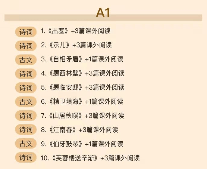 窦神大语文 :豆伴匠(A系列),文言文、古诗词、翻译、鉴赏四大板块全覆盖 适合8-18岁孩子学习