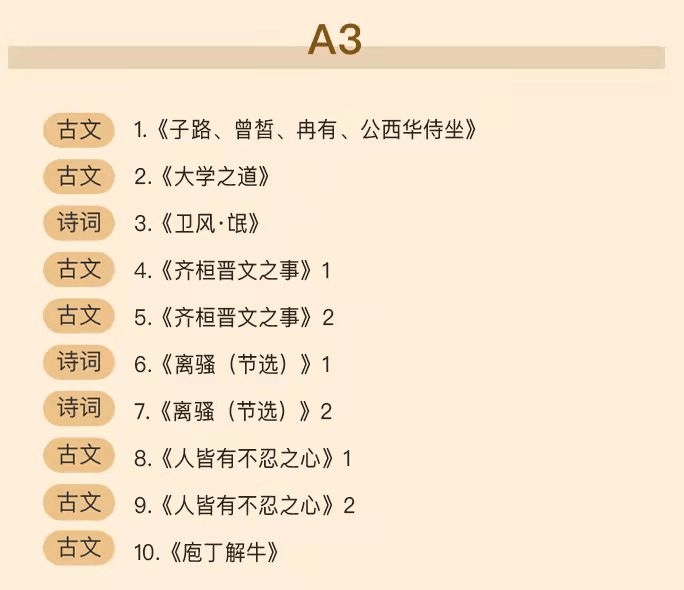 窦神大语文 :豆伴匠(A系列),文言文、古诗词、翻译、鉴赏四大板块全覆盖 适合8-18岁孩子学习