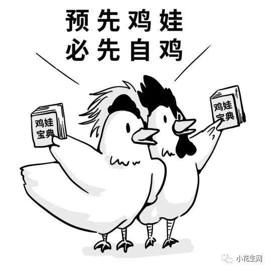 我们大童曲折的英语启蒙之路