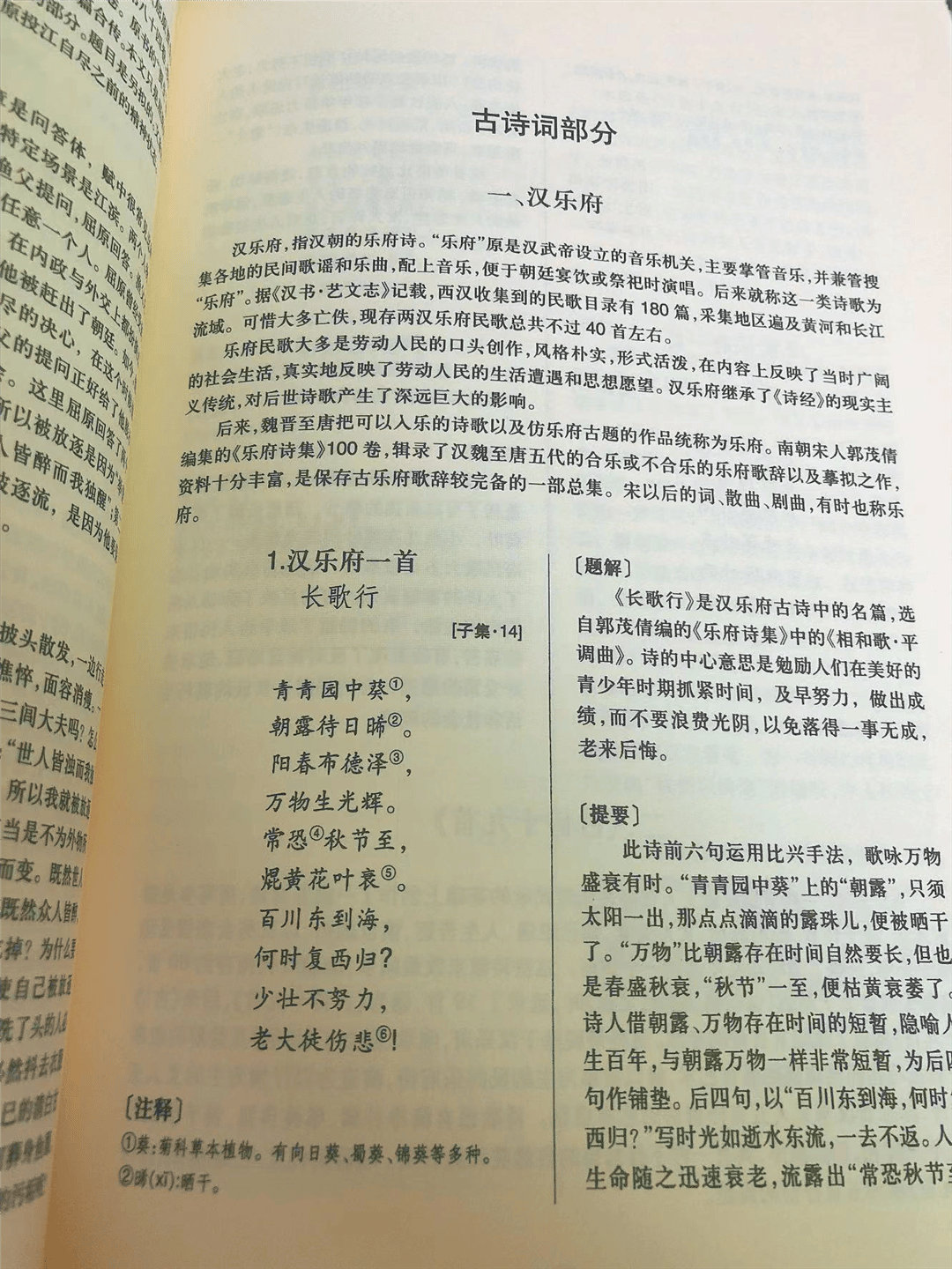 腹有诗书气自华——小红书《中华古诗文读本》我们怎么读？