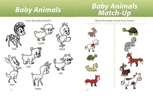 Education 电子书2-11岁共7阶段 460套（PDF）