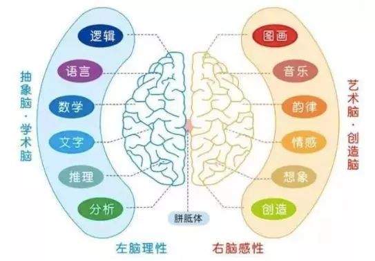 学而思七大能力7本教材+ 家长手册 + 练习册+讲义+测评试卷 pdf格式