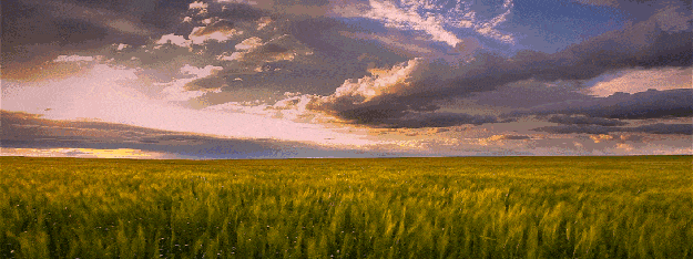 捕捉生命万象,探索大自然,少年第一堂中国地理课全套视频分享