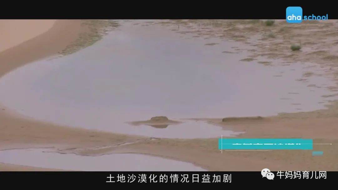 捕捉生命万象,探索大自然,少年第一堂中国地理课全套视频分享