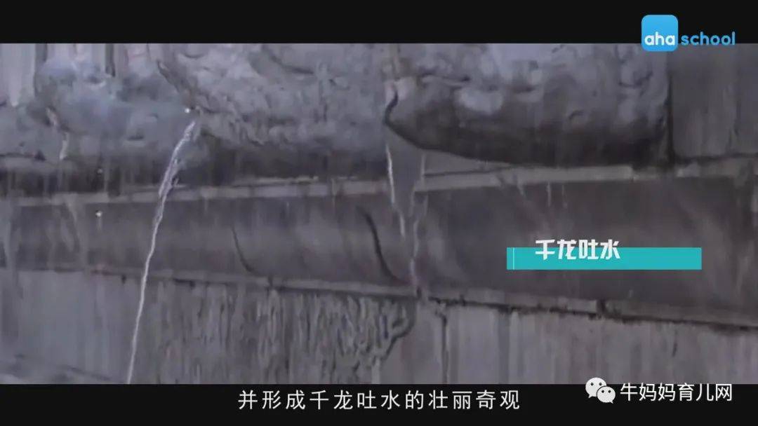 捕捉生命万象,探索大自然,少年第一堂中国地理课全套视频分享