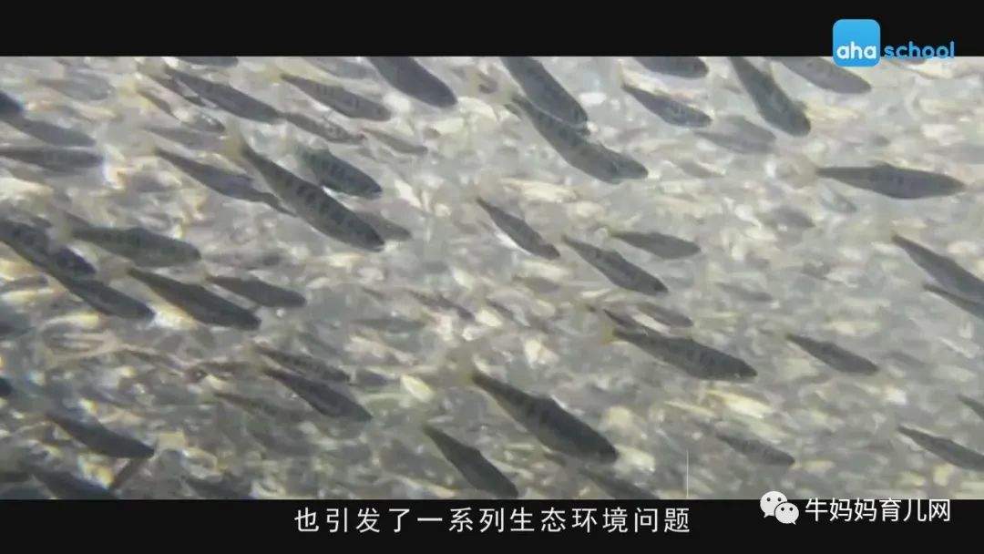 捕捉生命万象,探索大自然,少年第一堂中国地理课全套视频分享