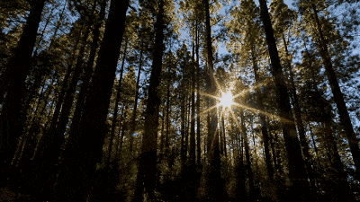 捕捉生命万象,探索大自然,少年第一堂中国地理课全套视频分享