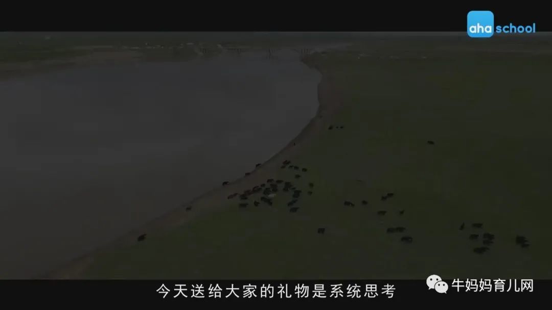 捕捉生命万象,探索大自然,少年第一堂中国地理课全套视频分享