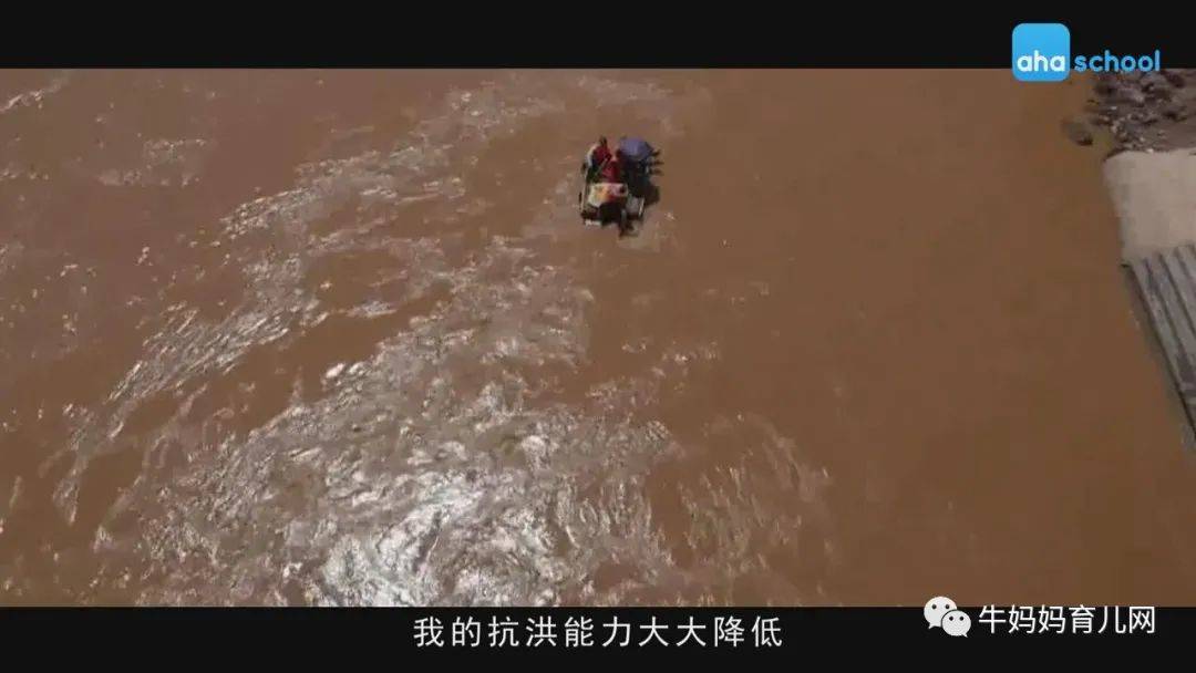 捕捉生命万象,探索大自然,少年第一堂中国地理课全套视频分享