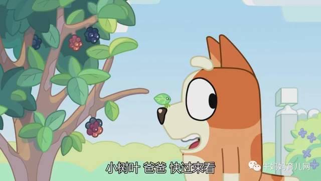 评分9.5!风靡澳洲的动画片《布鲁伊一家》,孩子看了停不下来