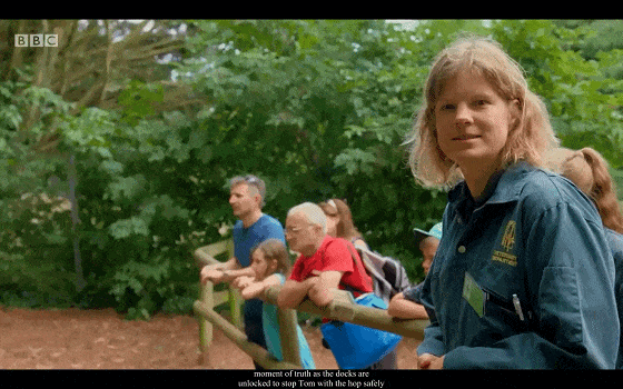 BBC儿童动物园喜剧《The Zoo》(1+2季),激活孩子英语学习潜能