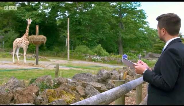 BBC儿童动物园喜剧《The Zoo》(1+2季),激活孩子英语学习潜能