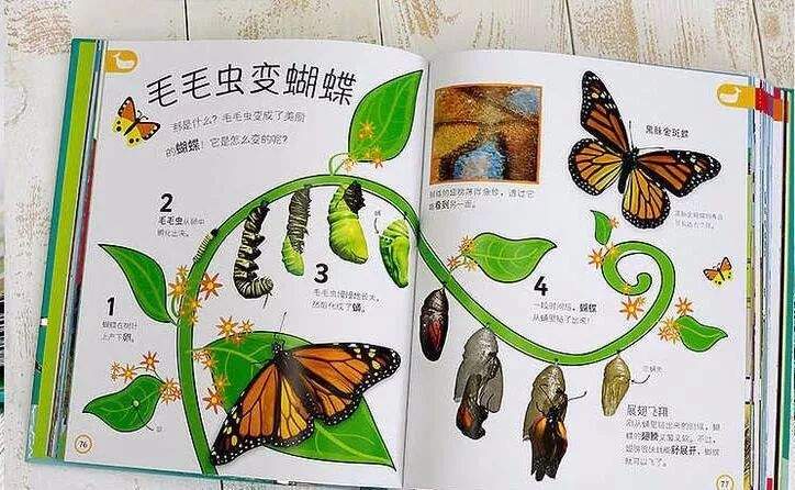 DK幼儿百科全书《那些重要的事》:高清视频48集+音频+PDF全套