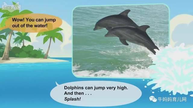 英文动画片《Meet the Animals》认识动物 英语启蒙 全集(阿里云盘)