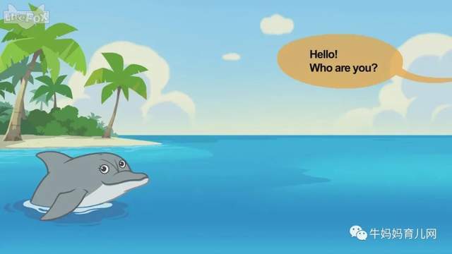 英文动画片《Meet the Animals》认识动物 英语启蒙 全集(阿里云盘)
