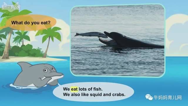 英文动画片《Meet the Animals》认识动物 英语启蒙 全集(阿里云盘)