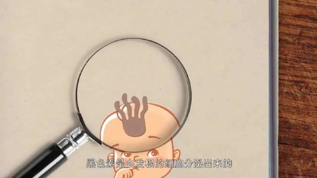 科学启蒙 | 科普动画《奇妙的世界》120集中文版，分分钟让孩子爱上科学