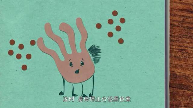 科学启蒙 | 科普动画《奇妙的世界》120集中文版，分分钟让孩子爱上科学