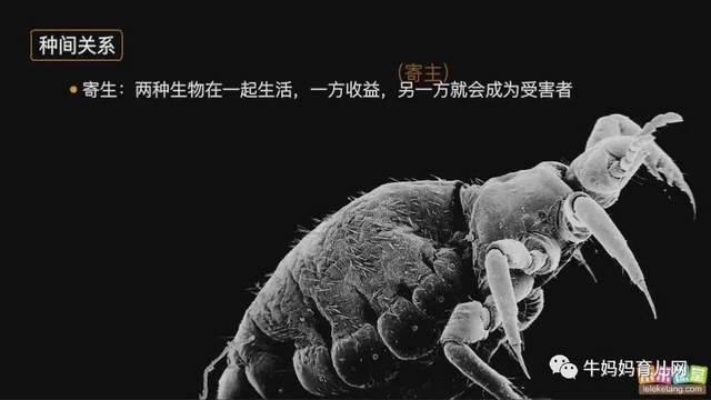 乐乐课堂生物大百科，为6~12岁孩子搭建一个神奇的生物世界