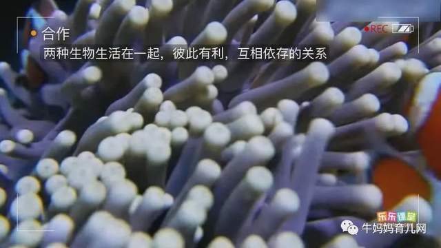 乐乐课堂生物大百科，为6~12岁孩子搭建一个神奇的生物世界