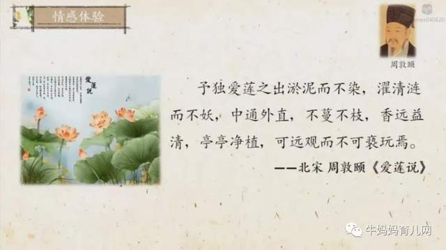 沪江大语文爱上小古文3-9年级(高清视频),文言文启蒙附讲义