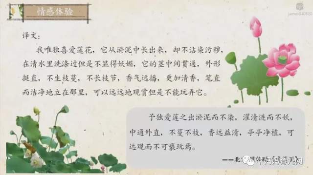 沪江大语文爱上小古文3-9年级(高清视频),文言文启蒙附讲义