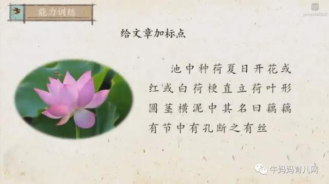沪江大语文爱上小古文3-9年级(高清视频),文言文启蒙附讲义