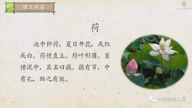 沪江大语文爱上小古文3-9年级(高清视频),文言文启蒙附讲义