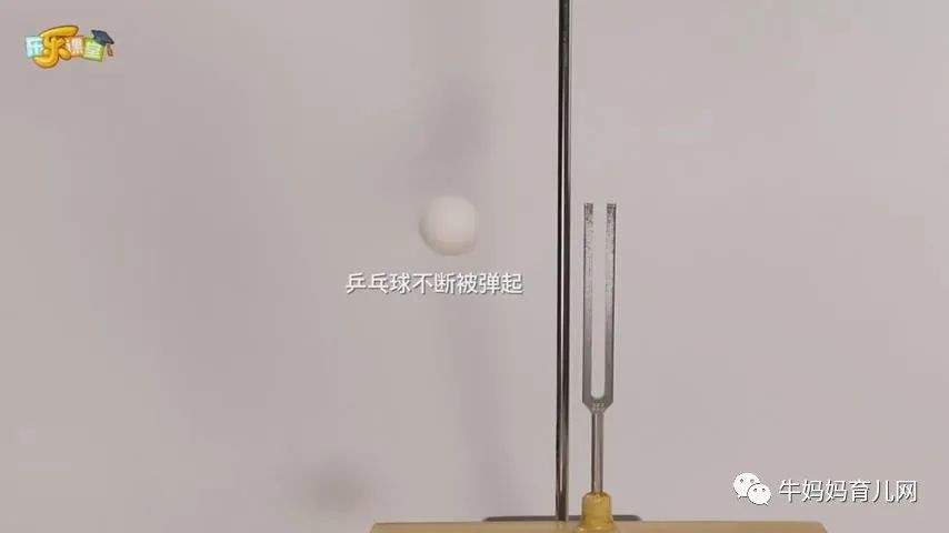 下载!小小科学家45集视频,每个小朋友都有“十万个为什么”