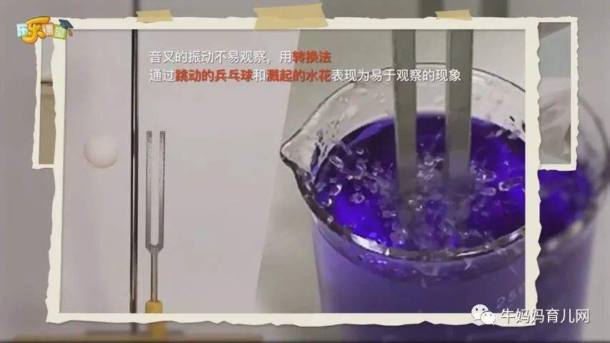下载!小小科学家45集视频,每个小朋友都有“十万个为什么”
