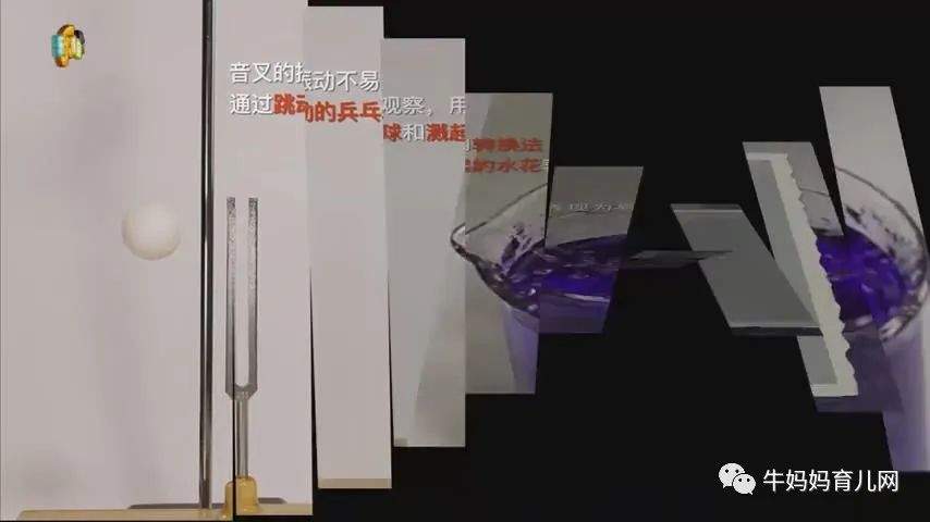 下载!小小科学家45集视频,每个小朋友都有“十万个为什么”