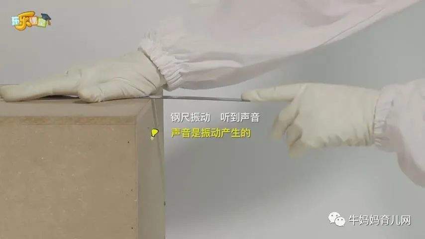 下载!小小科学家45集视频,每个小朋友都有“十万个为什么”