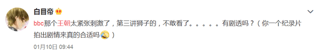 BBC超燃纪录片《王朝》,堪称自然界“权力的游戏”