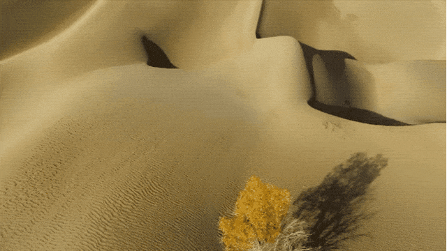 纪录片《绿色星球》:豆瓣9.8分,每一帧都惊艳