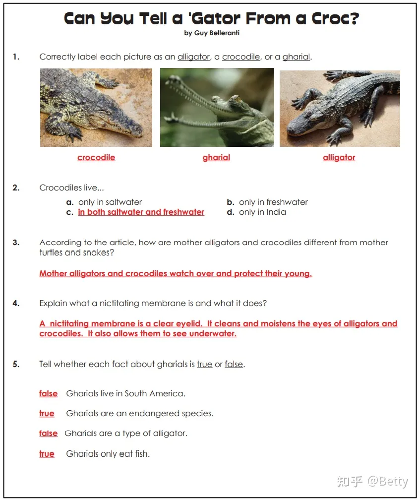 Super Teacher Worksheets G1-G5 美国小学原版阅读理解