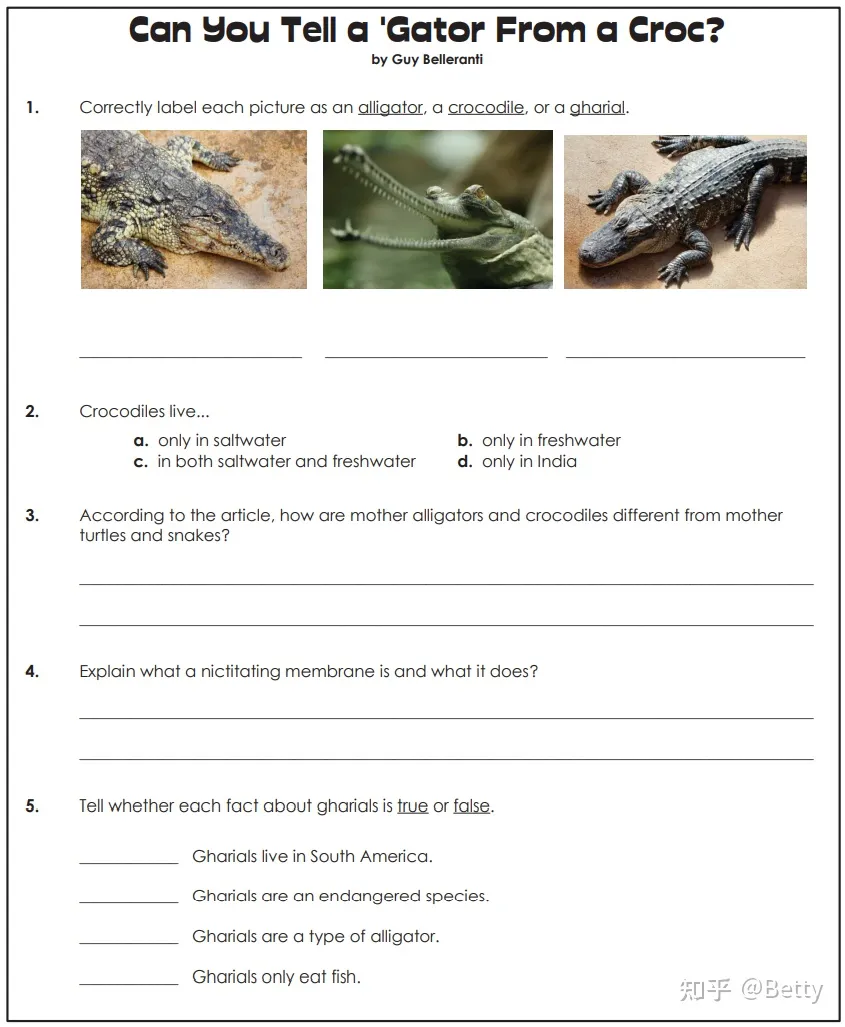 Super Teacher Worksheets G1-G5 美国小学原版阅读理解