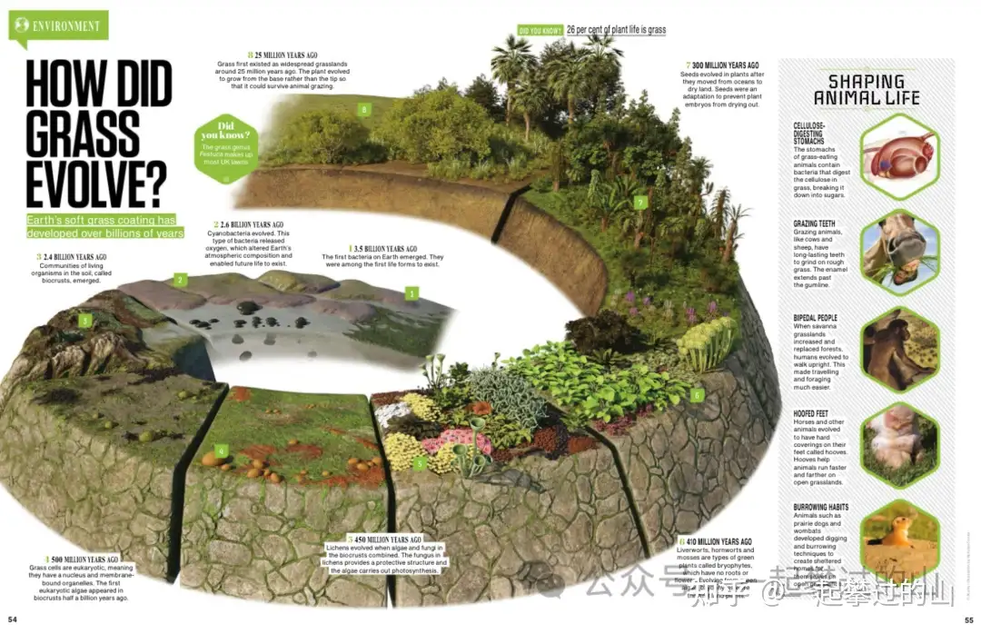 《How it works》万物科学杂志2014-2024年