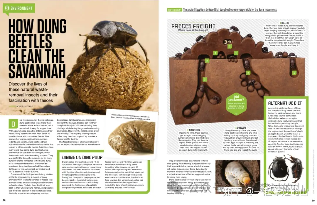 《How it works》万物科学杂志2014-2024年