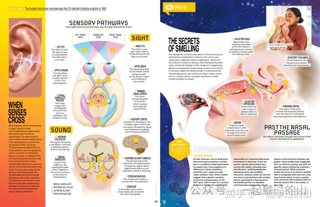 《How it works》万物科学杂志2014-2024年