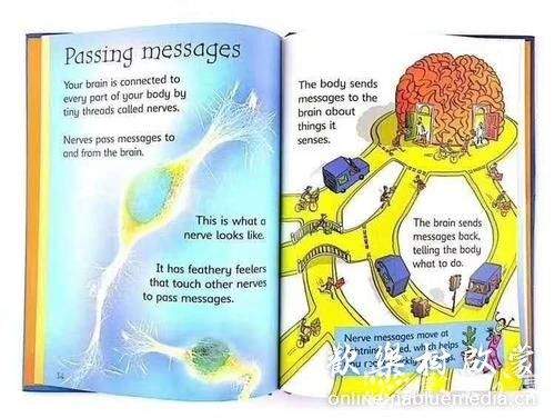 usborne beginner science 初探科学 十本PDF