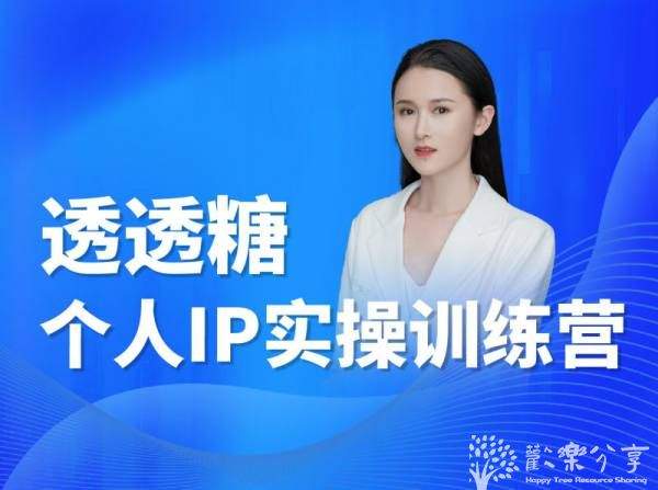 透透糖-个人IP实操训练营-抖音电商培训打包下载2023